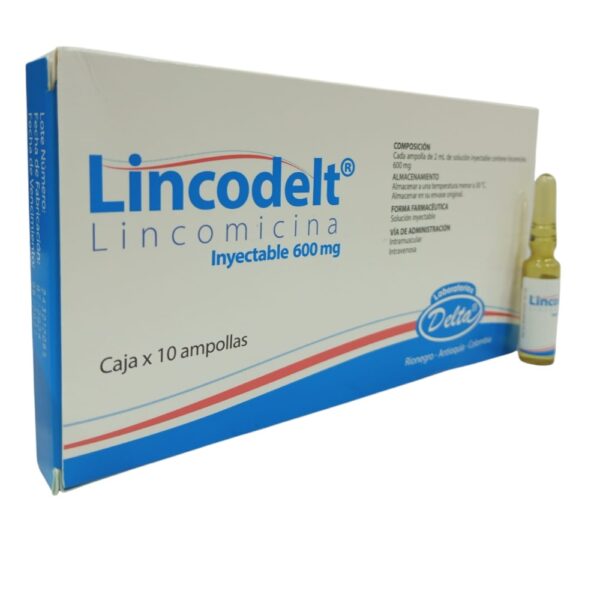 LINCODEL T/ LINCOMICINA